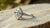 Is a Marquise Diamond More Expensive? Understanding the Value of This Unique Cut