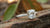 The Elegant Allure of 2 Carat Cushion Cut Engagement Rings: Understanding Their Value and Charm