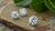 Understanding Moissanite: Are Moissanite Lab Created Diamonds the Right Choice for You?