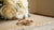 Should You Insure Your Wedding Ring?