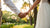 How to Get Wedding Ring: A Thoughtful Path to the Ring That Lasts