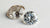 Can You Tell Between Lab-Grown and Natural Diamonds? An In-Depth Guide