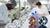 How Do You Make a Lab Diamond? The Journey from Carbon to Gem