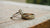 Is It Wedding Band Then Engagement Ring