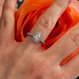 Jessica de Fressine Image