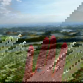 Henry Hoddinott Image